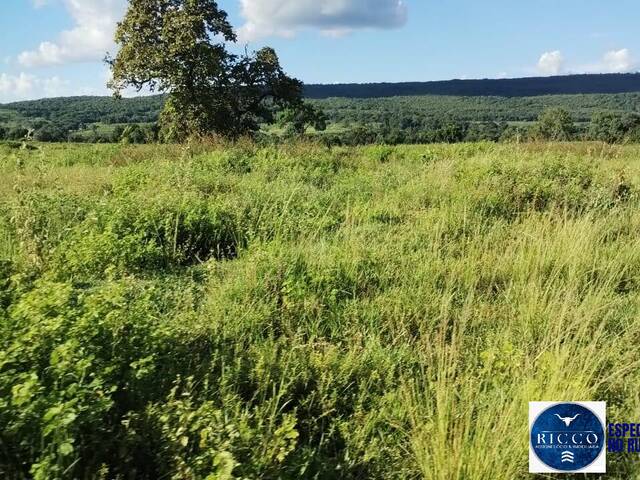 Fazenda para Venda em Montes Claros de Goiás - 5