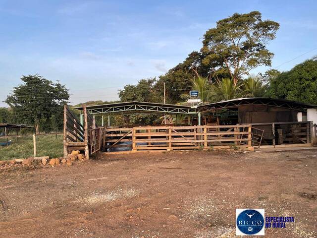 #3735 - Chácara para Venda em Itaberaí - GO