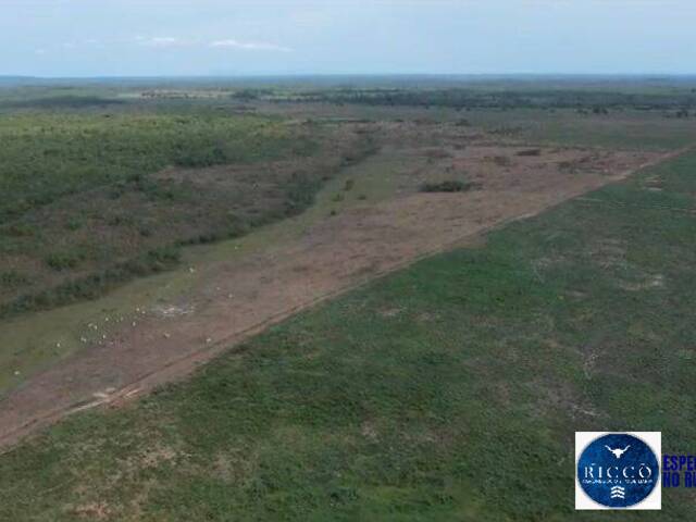 #2177 - Fazenda para Venda em Palmas - TO