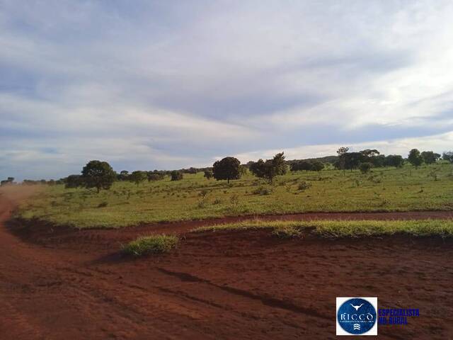 Venda em zona rural - Montes Claros de Goiás