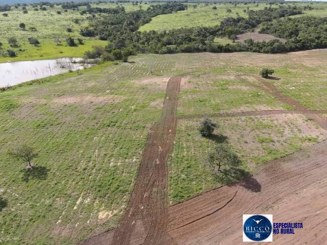 #2133 - Fazenda para Venda em Gurupi - TO