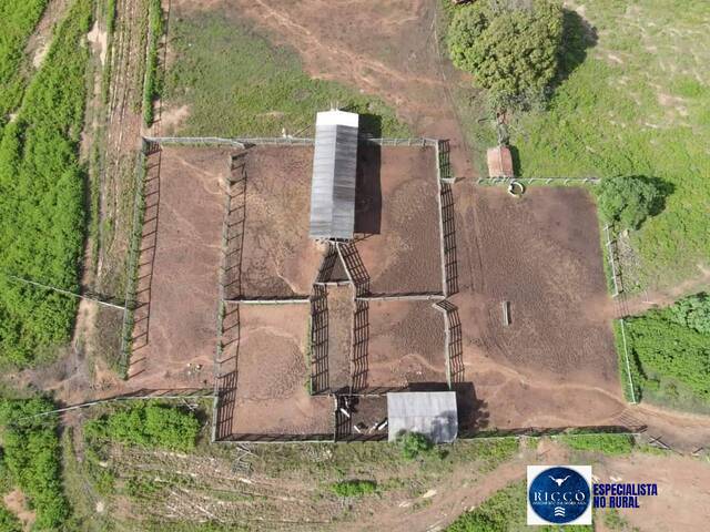 #2133 - Fazenda para Venda em Gurupi - TO