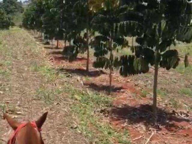 Venda em zona rural - Petrolina de Goiás