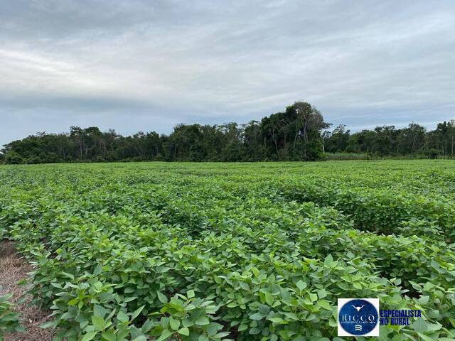 #2104 - Fazenda para Venda em Santa Rita do Araguaia - GO