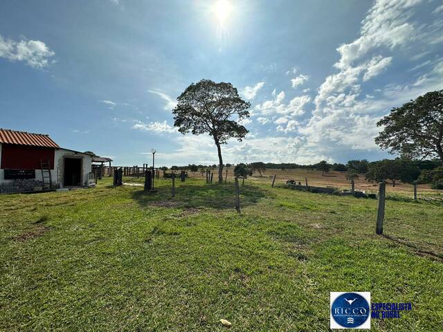 Venda em zona rural - General Carneiro