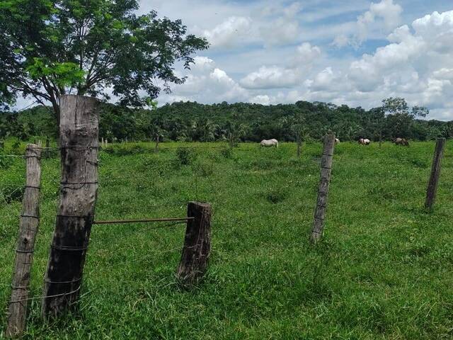 #2083 - Fazenda para Venda em Nova Xavantina - MT