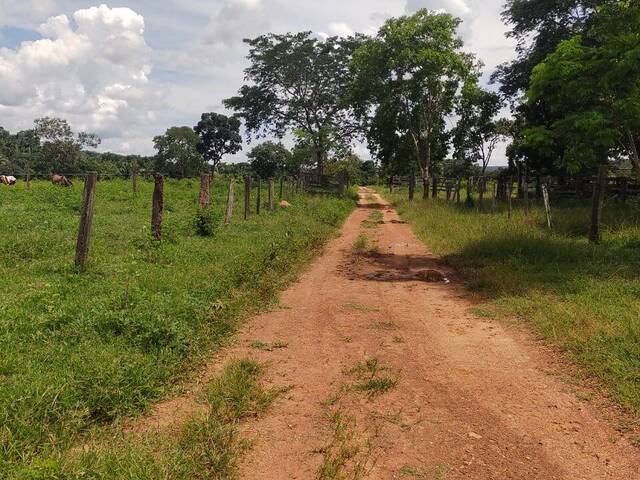 #2083 - Fazenda para Venda em Nova Xavantina - MT