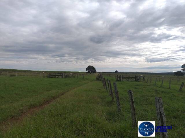 Venda em zona rural - Mineiros