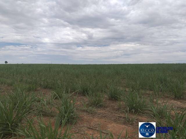 #2081 - Fazenda para Venda em Mineiros - GO