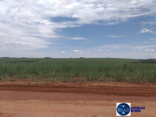 #2081 - Fazenda para Venda em Mineiros - GO