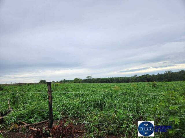 #2338 - Fazenda para Venda em Araguaçu - TO