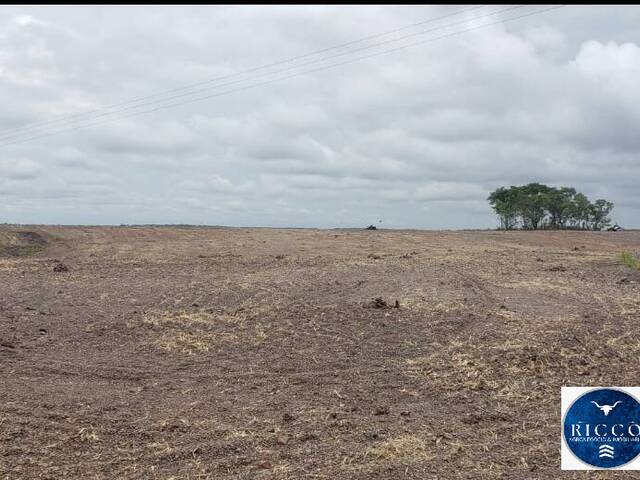 #3740 - Fazenda para Venda em Bom Jesus de Goiás - GO