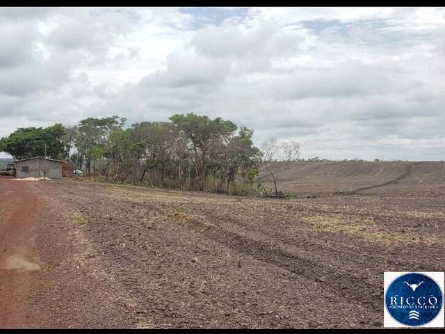 #3740 - Fazenda para Venda em Bom Jesus de Goiás - GO