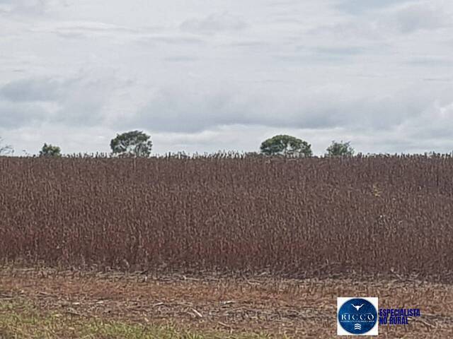 #3740 - Fazenda para Venda em Bom Jesus de Goiás - GO