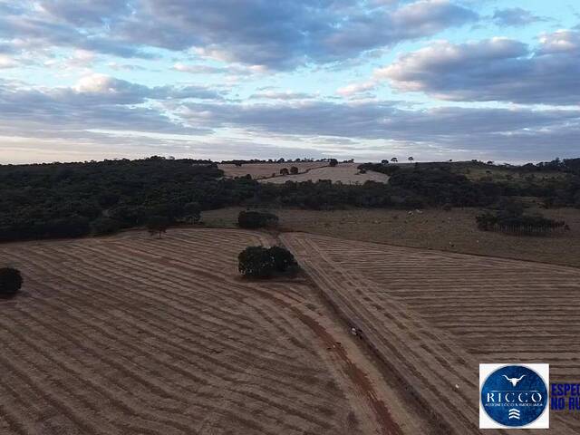 #3745 - Fazenda para Venda em Bela Vista de Goiás - GO