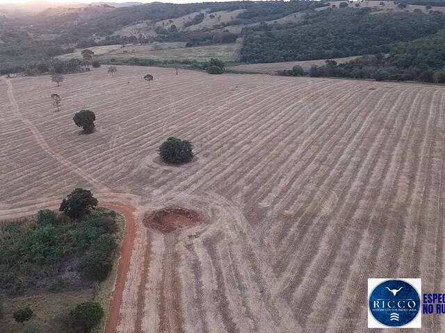 #3745 - Fazenda para Venda em Bela Vista de Goiás - GO