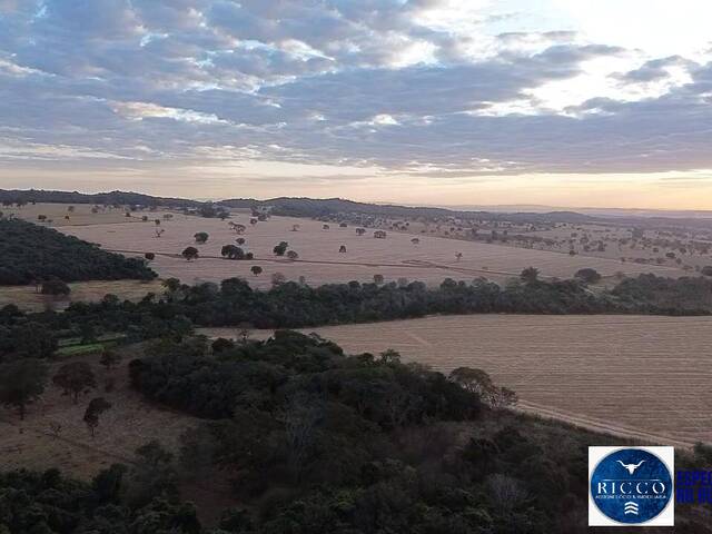 Fazenda para Venda em Bela Vista de Goiás - 4