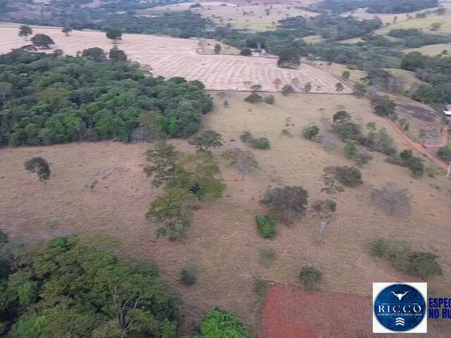 Fazenda para Venda em Bela Vista de Goiás - 5