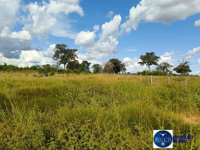 #3749 - Fazenda para Venda em Araguaiana - MT