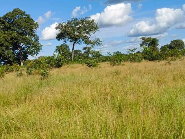 #3749 - Fazenda para Venda em Araguaiana - MT