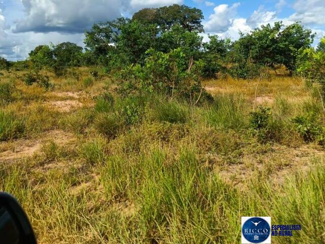 #3749 - Fazenda para Venda em Araguaiana - MT