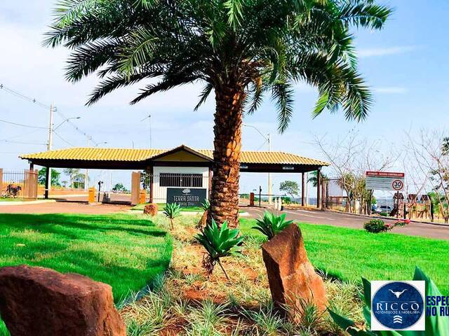 Venda em Residencial Terra Santa - Trindade