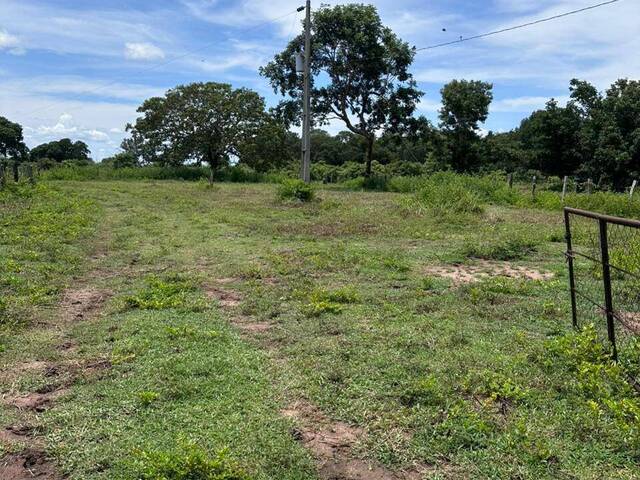 #3754 - Fazenda para Venda em Peixe - TO