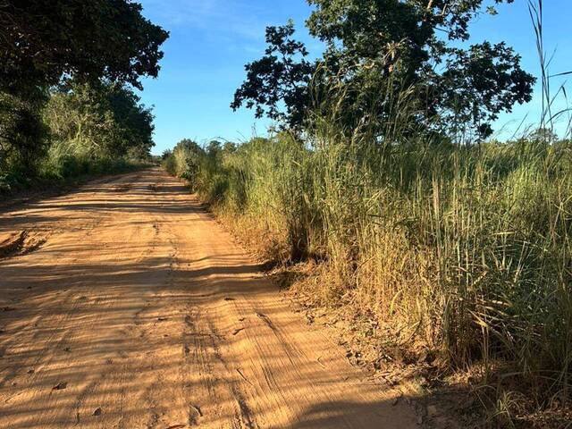 #3754 - Fazenda para Venda em Peixe - TO