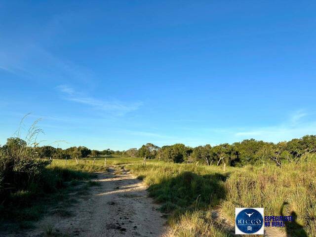Fazenda para Venda em Peixe - 5