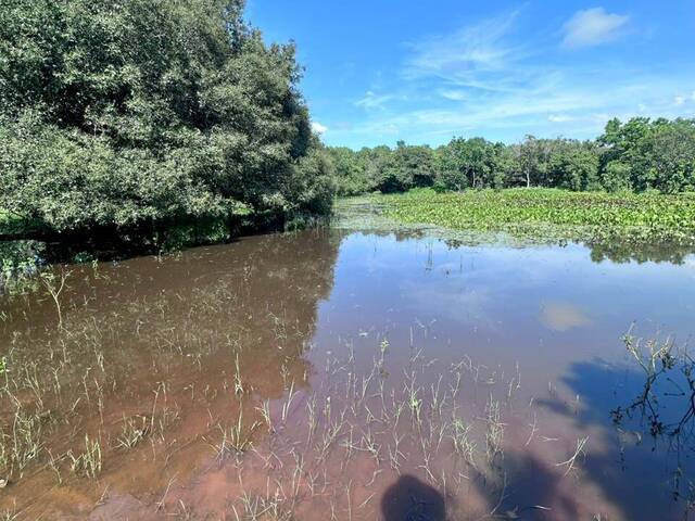 #3754 - Fazenda para Venda em Peixe - TO