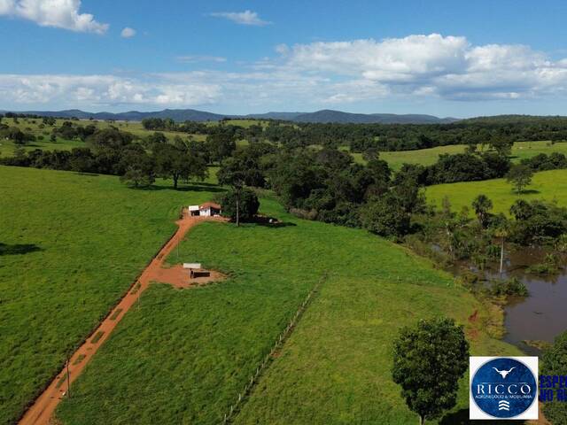 #3755 - Fazenda para Venda em Vila Propício - GO