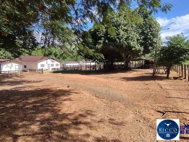 #3755 - Fazenda para Venda em Vila Propício - GO
