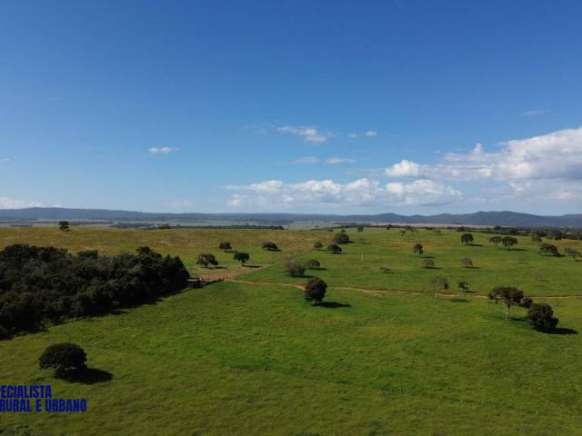 Fazenda para Venda em Vila Propício - 5