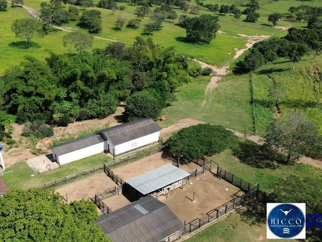 #3755 - Fazenda para Venda em Vila Propício - GO