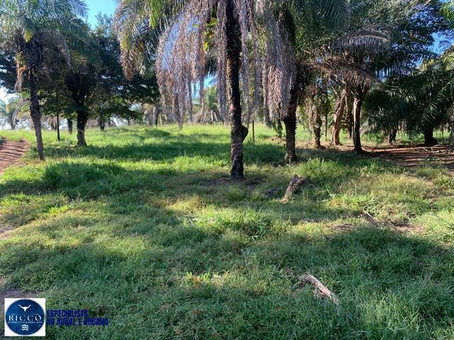 Fazenda para Venda em Bom Jardim de Goiás - 4