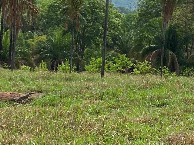 Fazenda para Venda em Bom Jardim de Goiás - 5