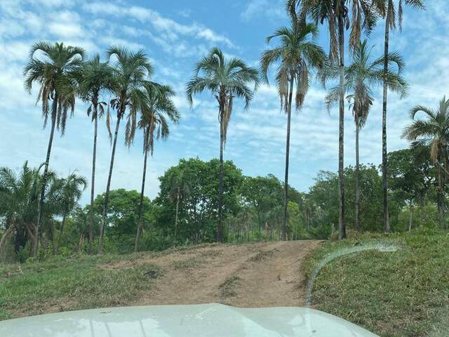 #3757 - Fazenda para Venda em Bom Jardim de Goiás - GO