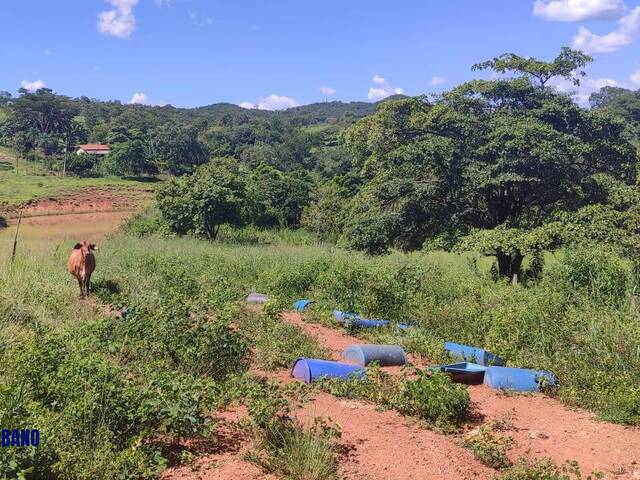 Chácara para Venda em Cezarina - 4