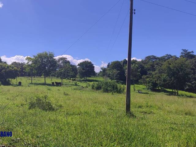 Chácara para Venda em Cezarina - 3