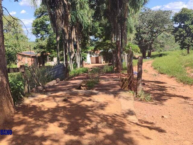 Chácara para Venda em Cezarina - 5