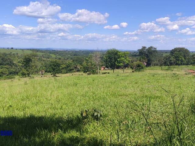 Chácara para Venda em Cezarina - 4