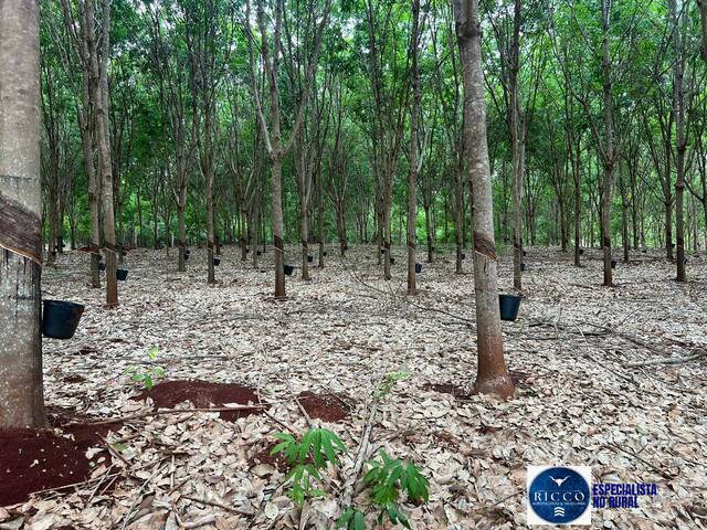 #3764 - Fazenda para Venda em Palmeirópolis - TO