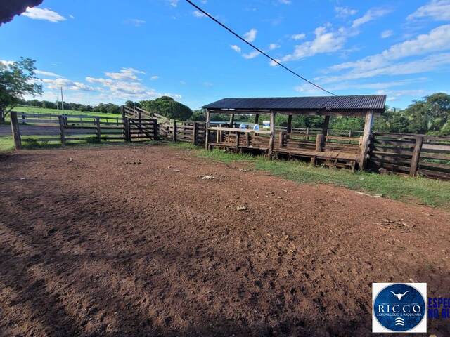 #3765 - Fazenda para Venda em Palmeirópolis - TO