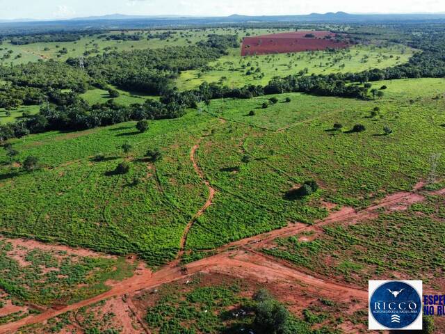 Fazenda para Venda em Palmeirópolis - 5