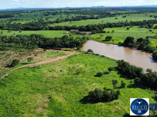 Venda em Zona Rural - Palmeirópolis