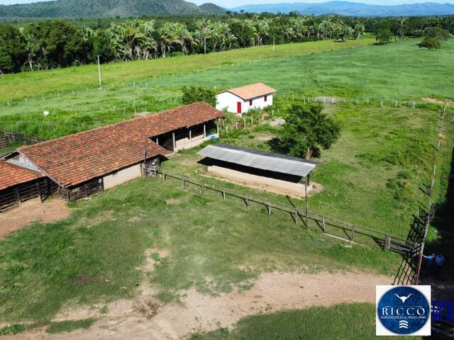 #3765 - Fazenda para Venda em Palmeirópolis - TO