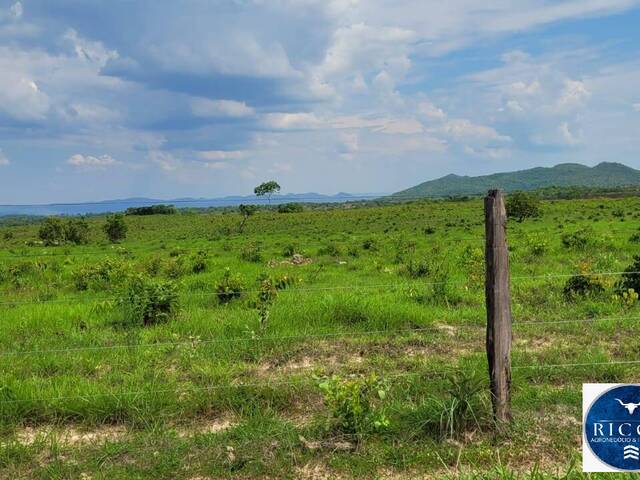 #3766 - Fazenda para Venda em Palmeirópolis - TO