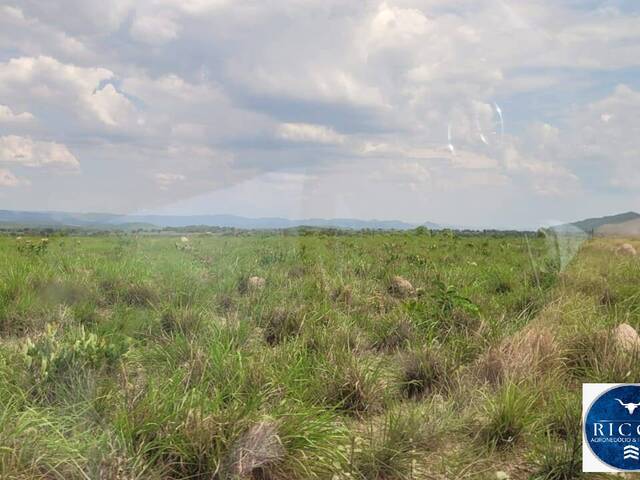 Fazenda para Venda em Palmeirópolis - 4