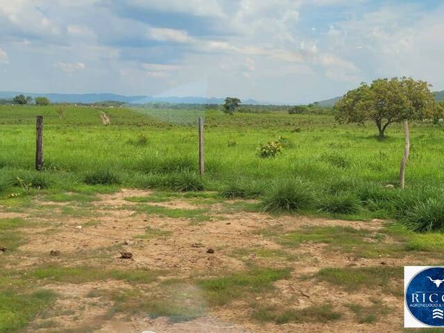 Fazenda para Venda em Palmeirópolis - 5