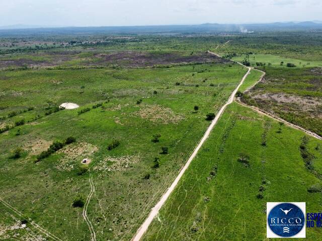 #3766 - Fazenda para Venda em Palmeirópolis - TO